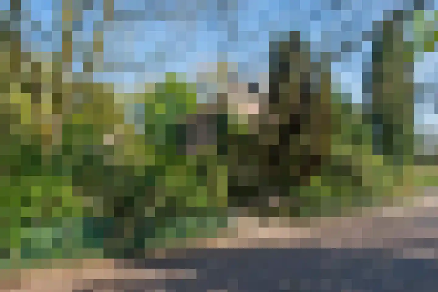 Benedendorpsweg 171 Oosterbeek thumbnail 43