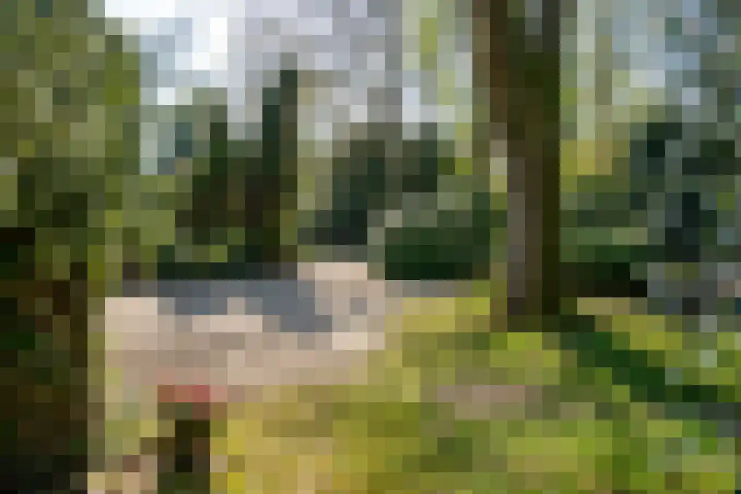 Benedendorpsweg 171 Oosterbeek thumbnail 45