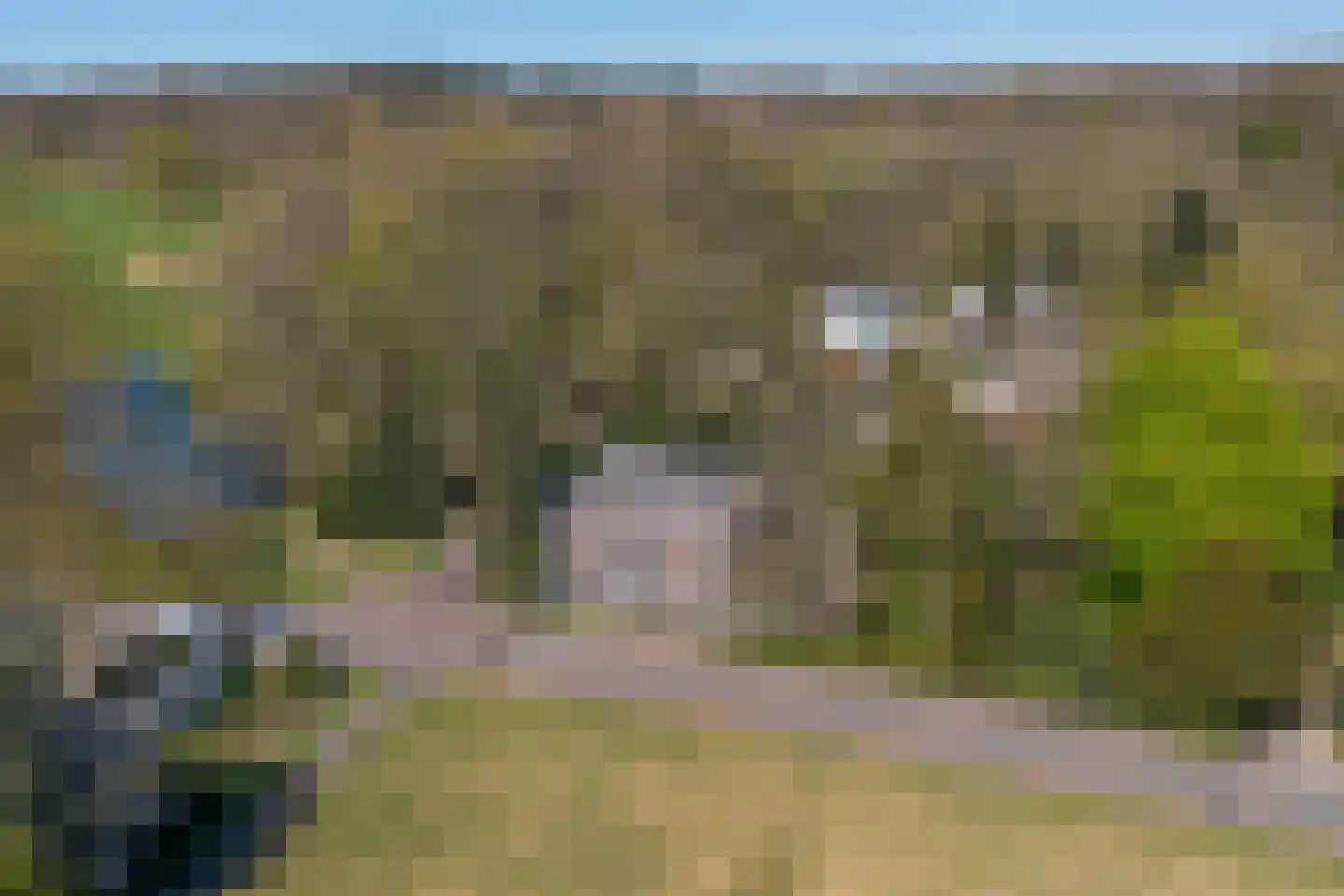 Benedendorpsweg 171 Oosterbeek thumbnail 46