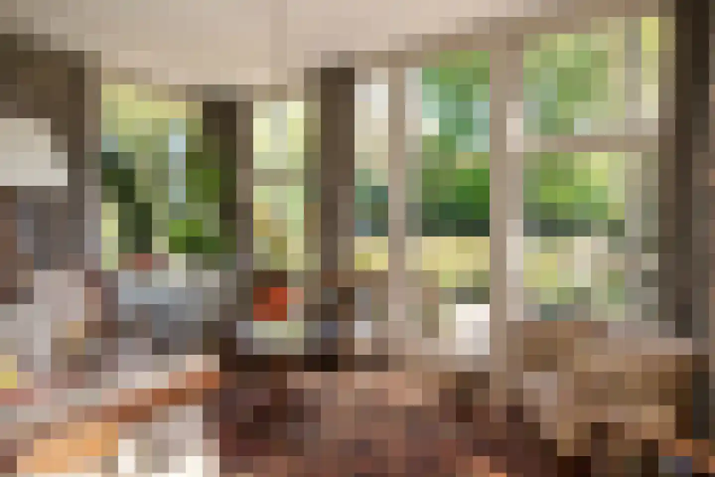 Benedendorpsweg 171 Oosterbeek thumbnail 8