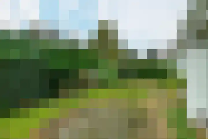 Benedendorpsweg 19 Oosterbeek thumbnail 29