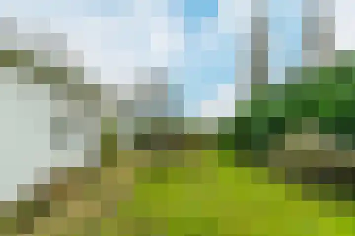 Benedendorpsweg 19 Oosterbeek thumbnail 31