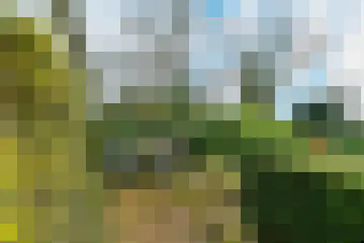 Benedendorpsweg 19 Oosterbeek thumbnail 34