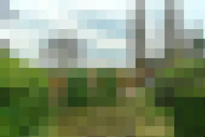 Benedendorpsweg 19 Oosterbeek thumbnail 35