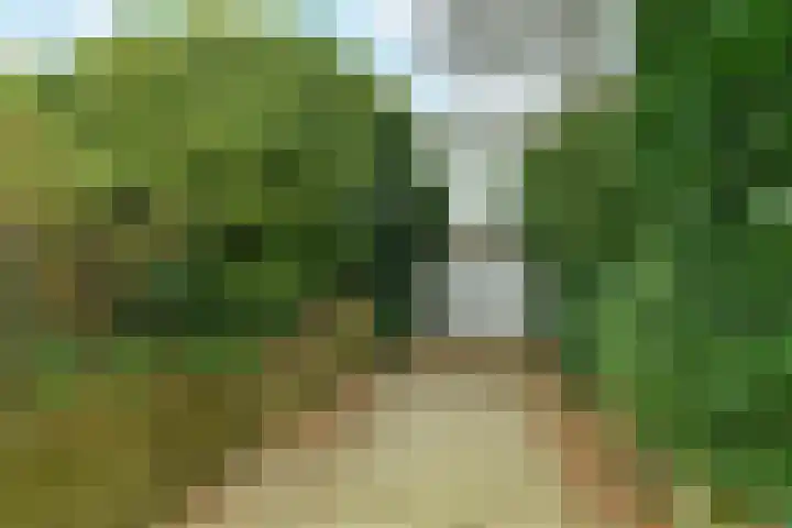 Benedendorpsweg 19 Oosterbeek thumbnail 37