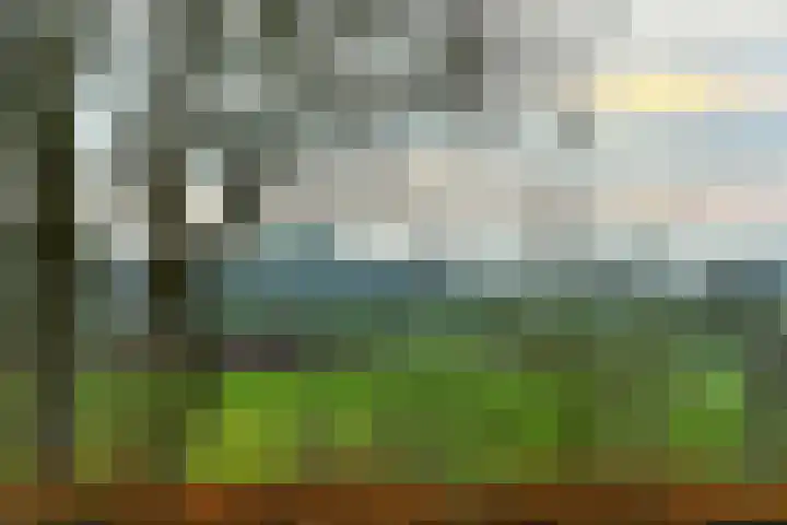 Benedendorpsweg 19 Oosterbeek thumbnail 39