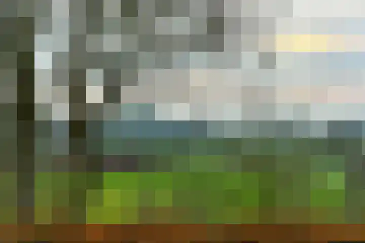 Benedendorpsweg 19 Oosterbeek thumbnail 4