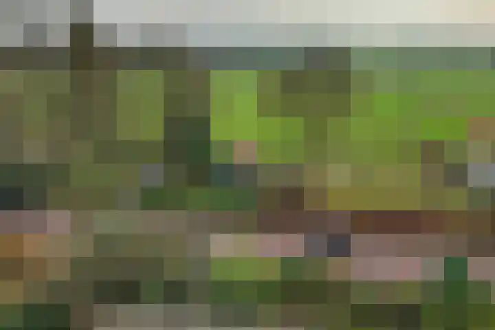 Benedendorpsweg 19 Oosterbeek thumbnail 41
