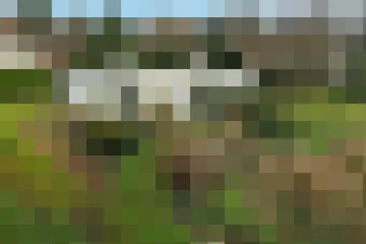 Benedendorpsweg 19 Oosterbeek thumbnail 42