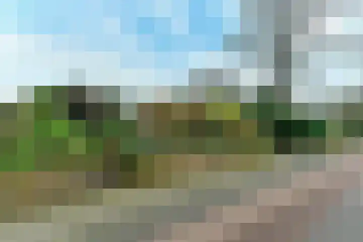 Benedendorpsweg 19 Oosterbeek thumbnail 5