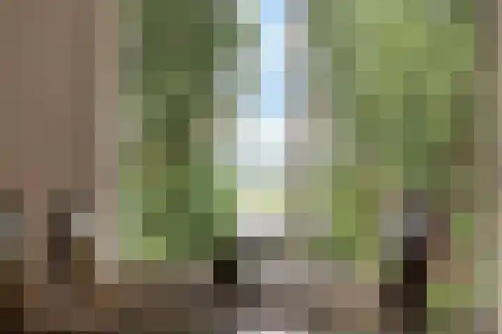 Benedendorpsweg 21 Oosterbeek thumbnail 10