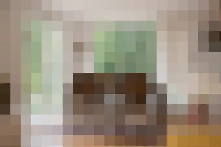 Benedendorpsweg 21 Oosterbeek thumbnail 16