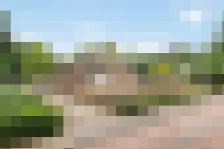 Benedendorpsweg 21 Oosterbeek thumbnail 40
