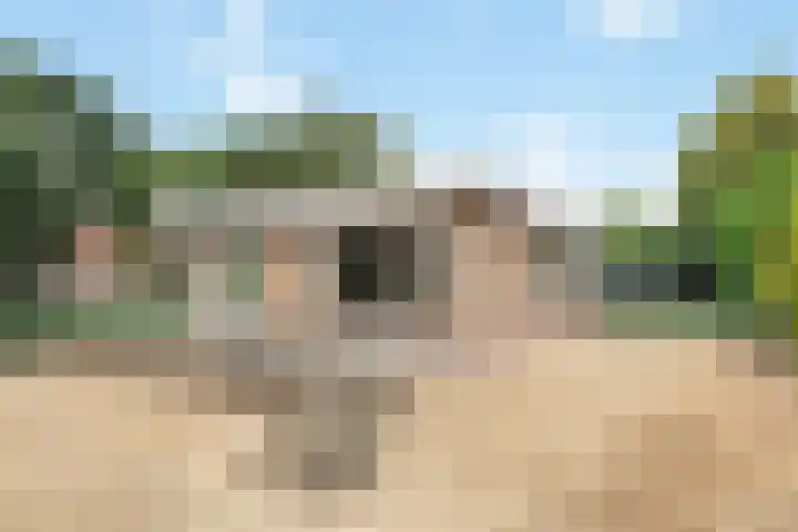 Benedendorpsweg 21 Oosterbeek thumbnail 43