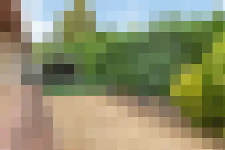 Benedendorpsweg 21 Oosterbeek thumbnail 44