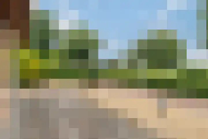Benedendorpsweg 21 Oosterbeek thumbnail 46