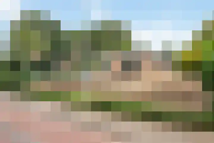 Benedendorpsweg 21 Oosterbeek thumbnail 51