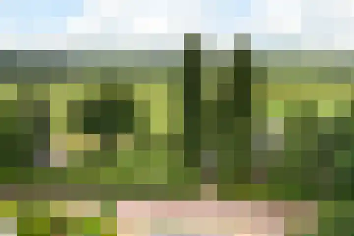 Benedendorpsweg 21 Oosterbeek thumbnail 52