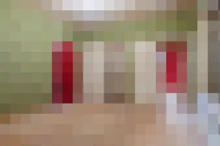 Benedendorpsweg 23 Oosterbeek thumbnail 11