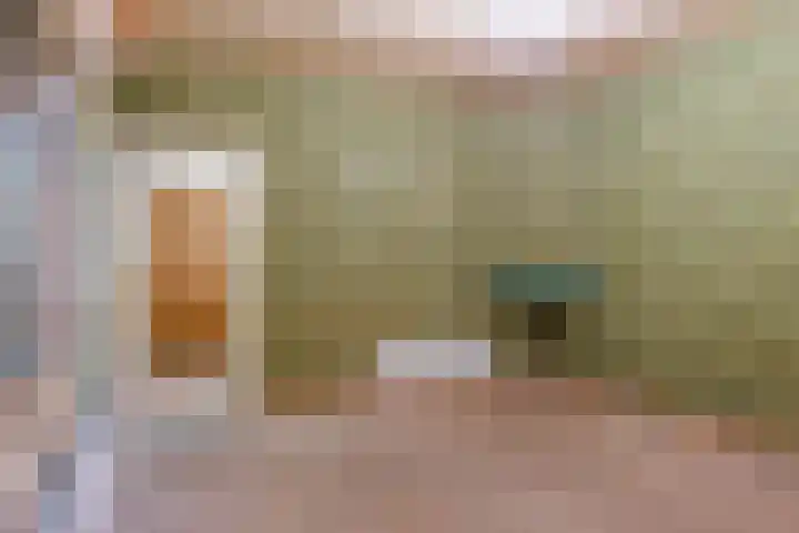 Benedendorpsweg 23 Oosterbeek thumbnail 12