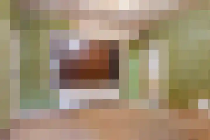 Benedendorpsweg 23 Oosterbeek thumbnail 13