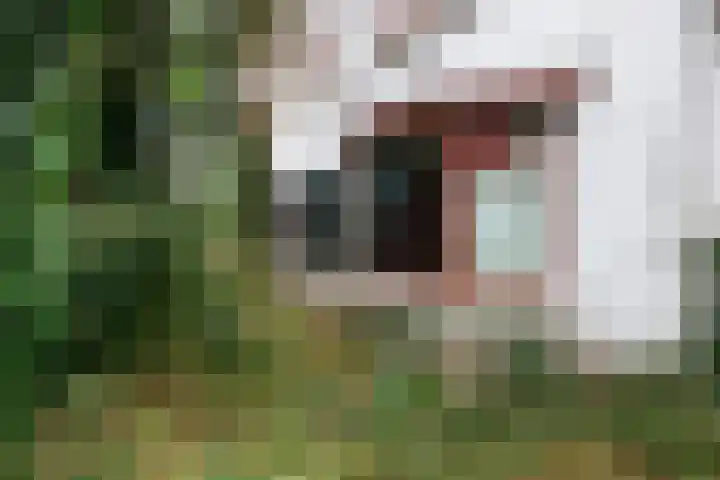 Benedendorpsweg 23 Oosterbeek thumbnail 43