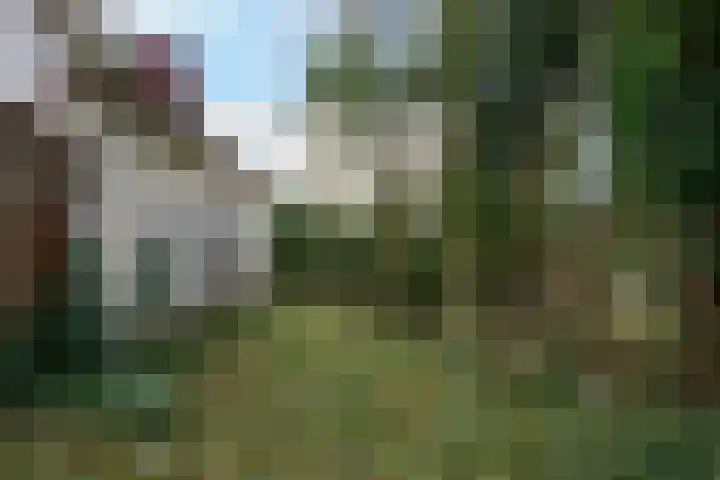 Benedendorpsweg 23 Oosterbeek thumbnail 46