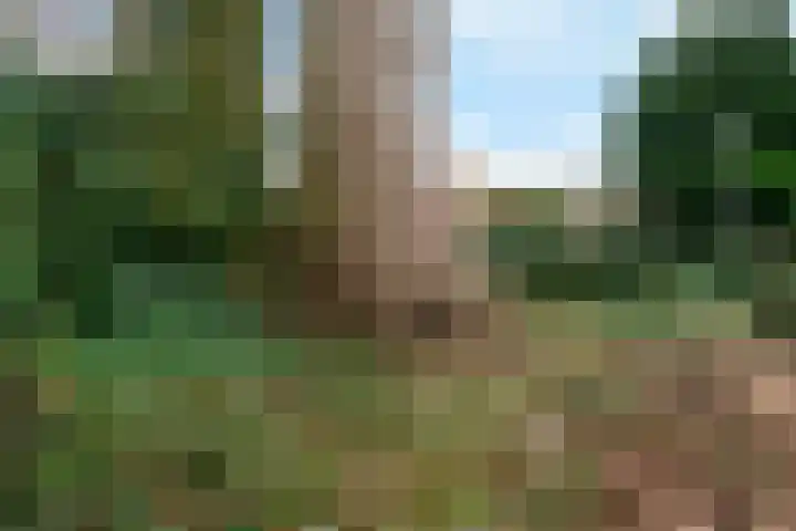 Benedendorpsweg 23 Oosterbeek thumbnail 47