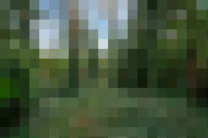 Benedendorpsweg 23 Oosterbeek thumbnail 48