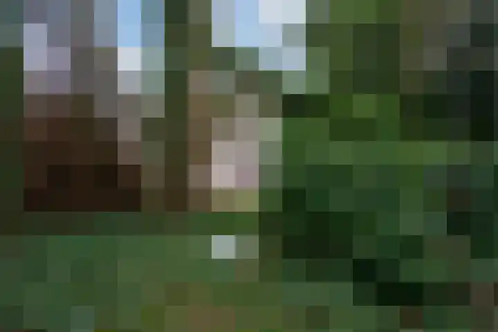 Benedendorpsweg 23 Oosterbeek thumbnail 49