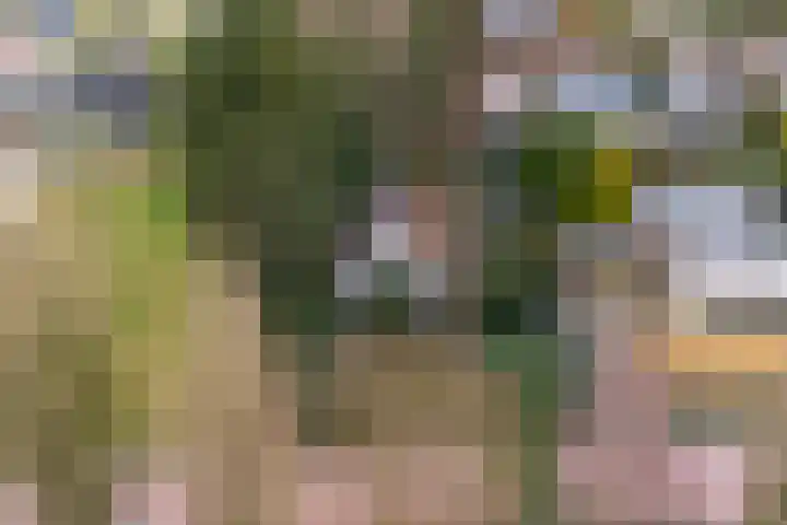 Benedendorpsweg 23 Oosterbeek thumbnail 51