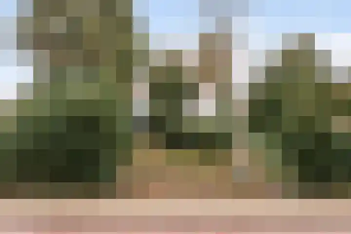 Benedendorpsweg 23 Oosterbeek thumbnail 52