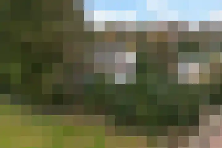 Benedendorpsweg 23 Oosterbeek thumbnail 54
