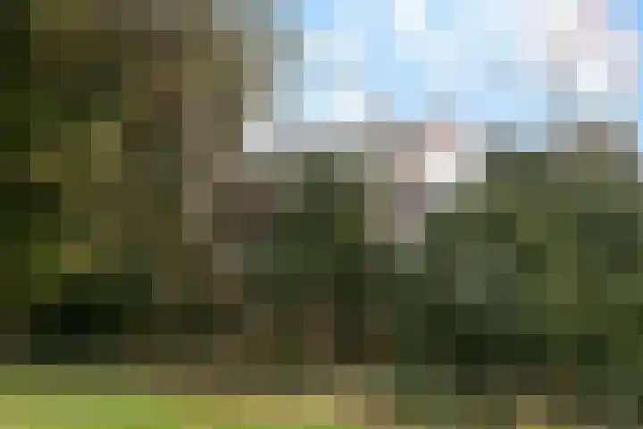 Benedendorpsweg 23 Oosterbeek thumbnail 55