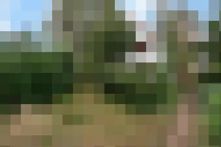 Benedendorpsweg 23 Oosterbeek thumbnail 56