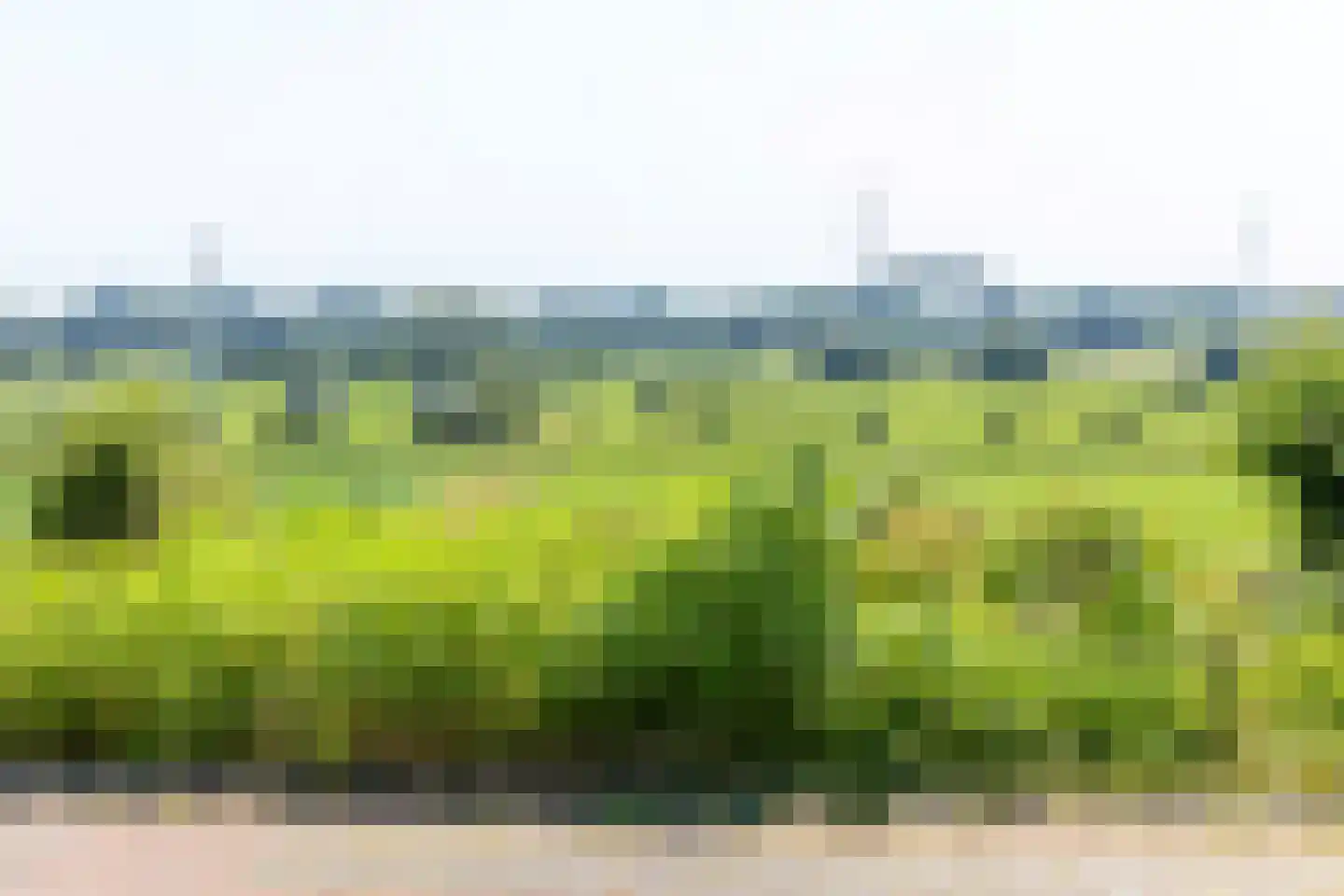 Benedendorpsweg 51 Oosterbeek thumbnail 13