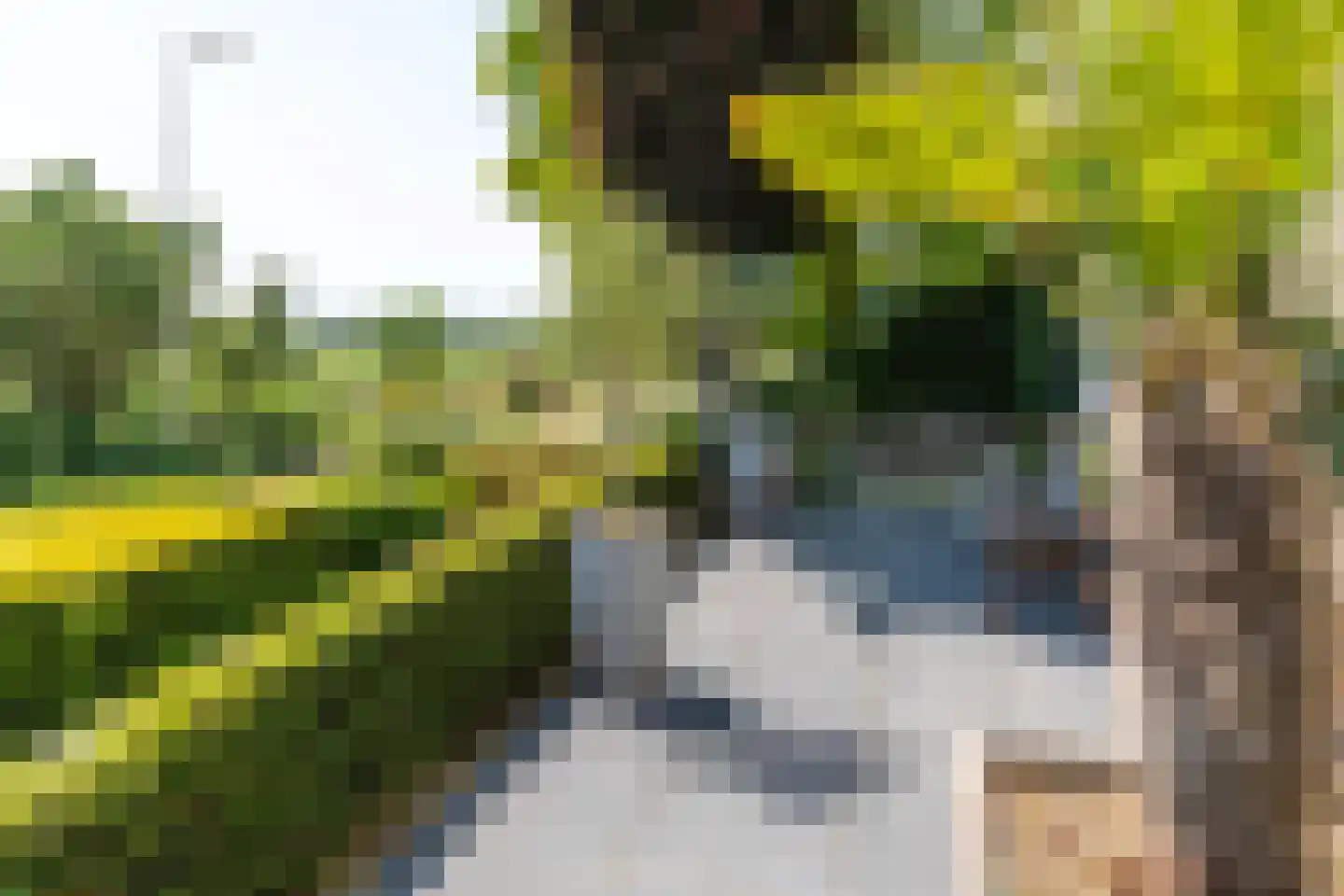 Benedendorpsweg 51 Oosterbeek thumbnail 14