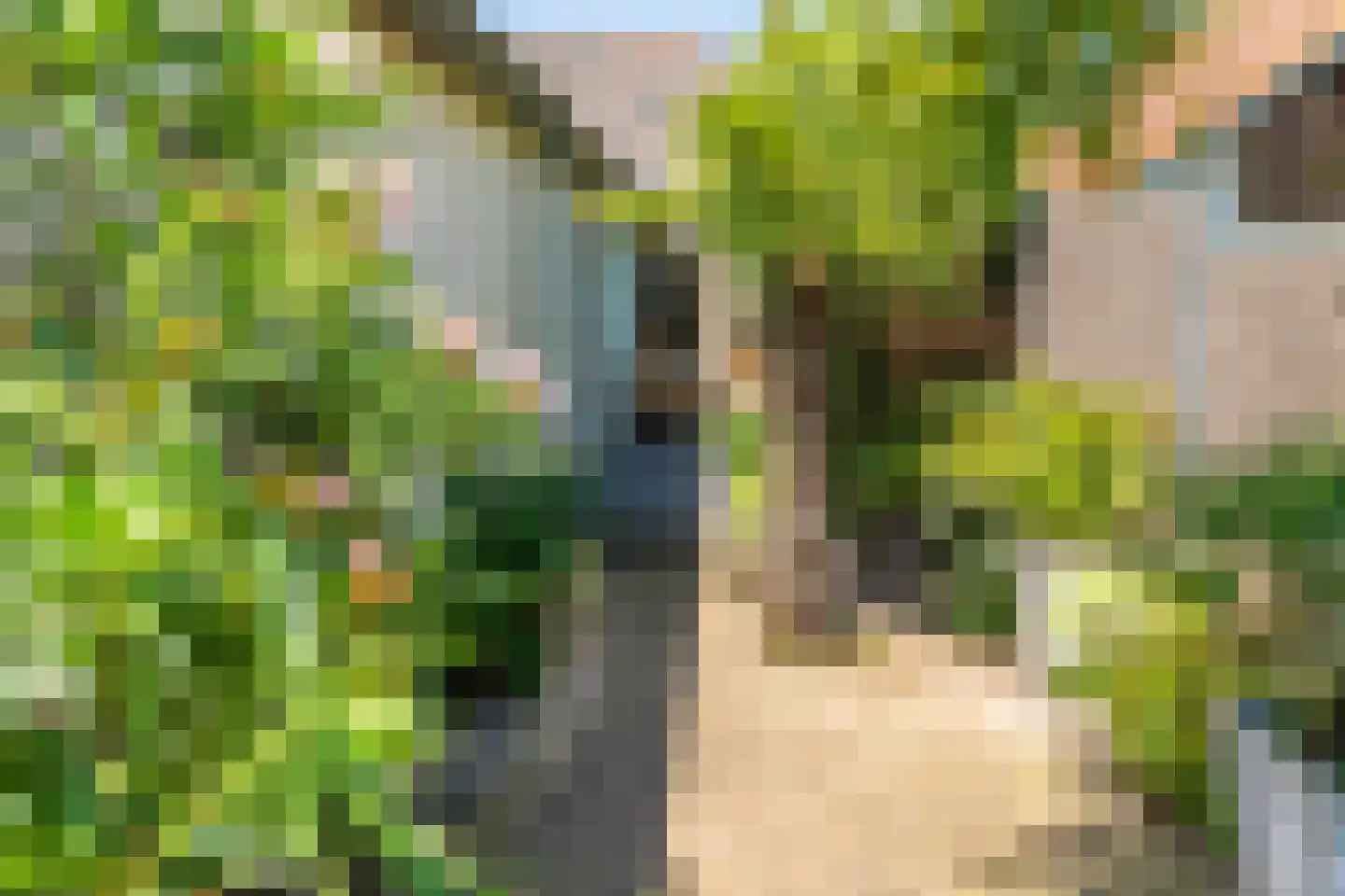 Benedendorpsweg 51 Oosterbeek thumbnail 15