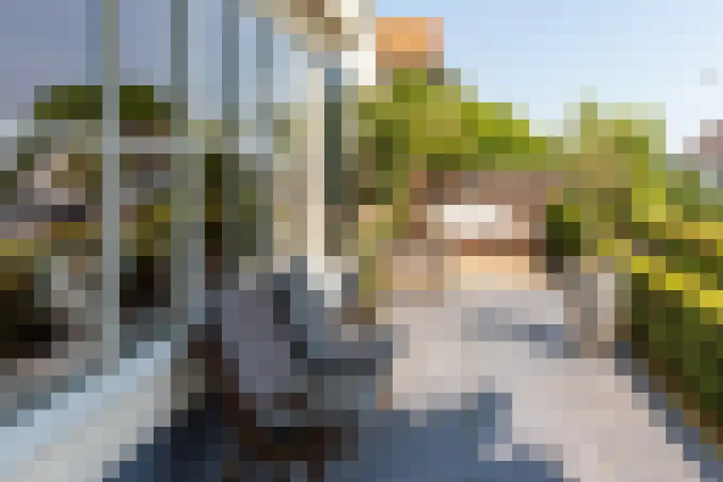 Benedendorpsweg 51 Oosterbeek thumbnail 18