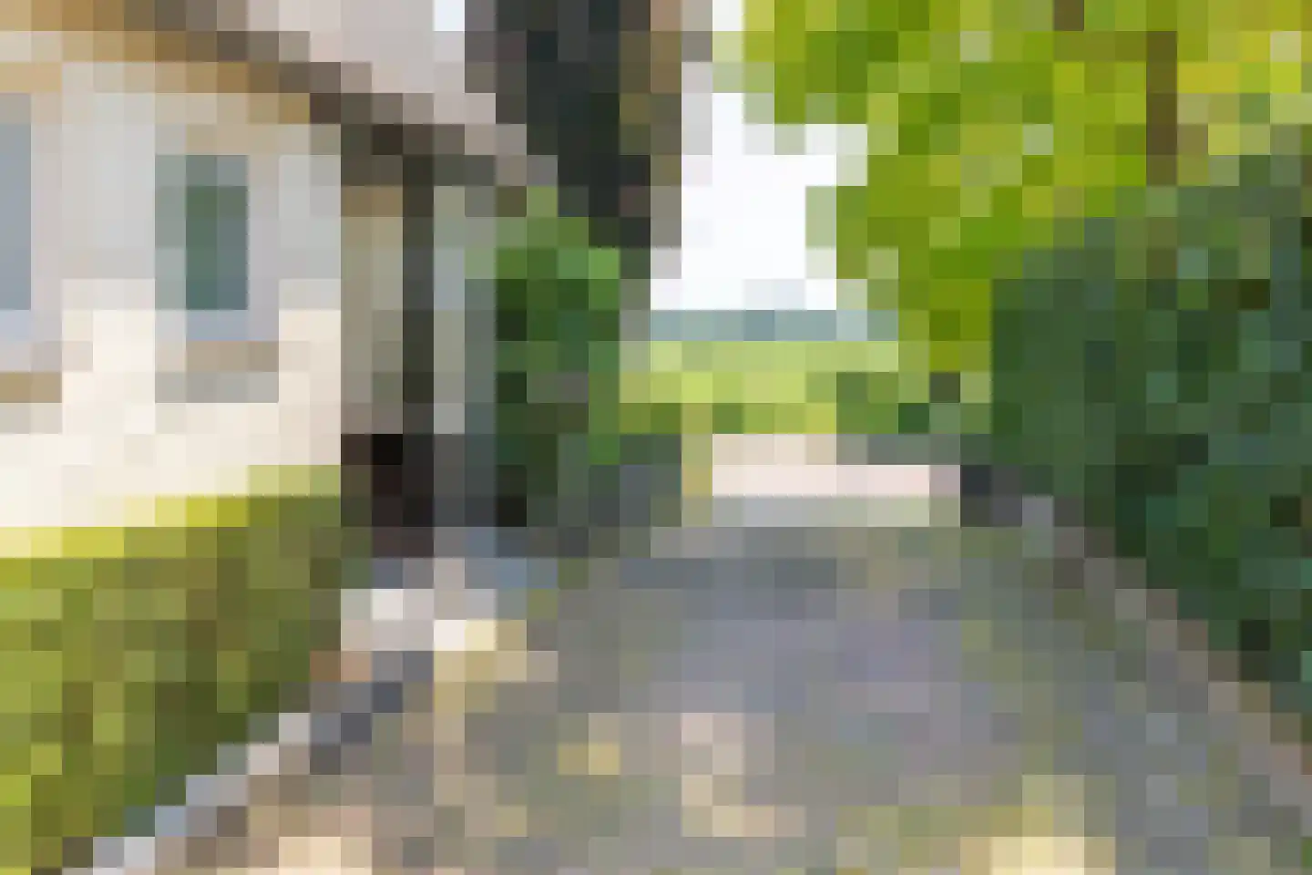 Benedendorpsweg 51 Oosterbeek thumbnail 19