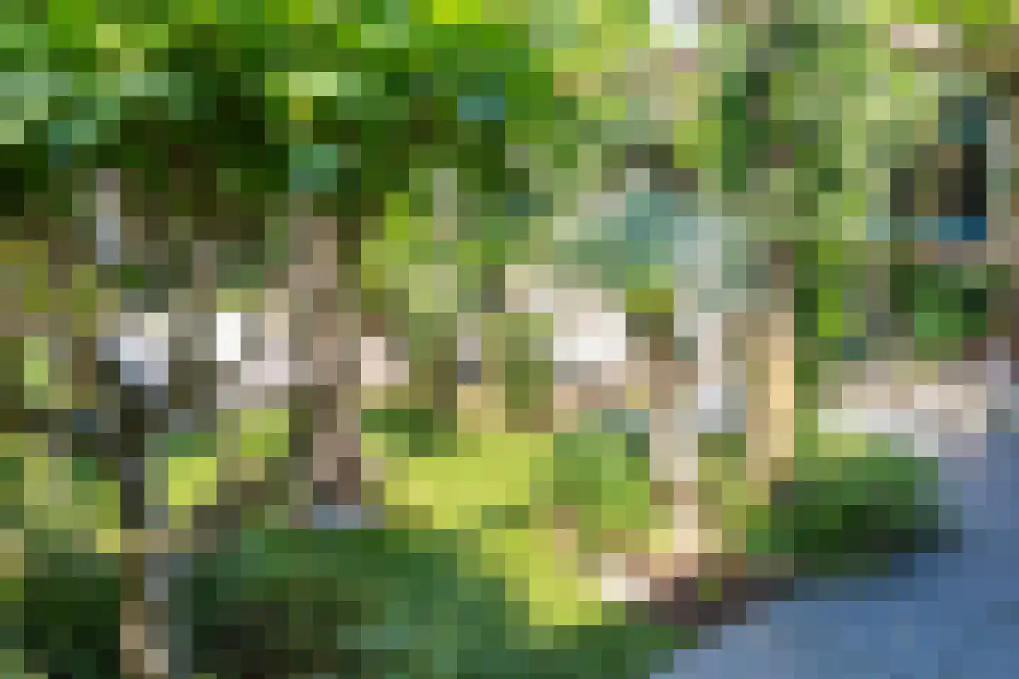 Benedendorpsweg 51 Oosterbeek thumbnail 52