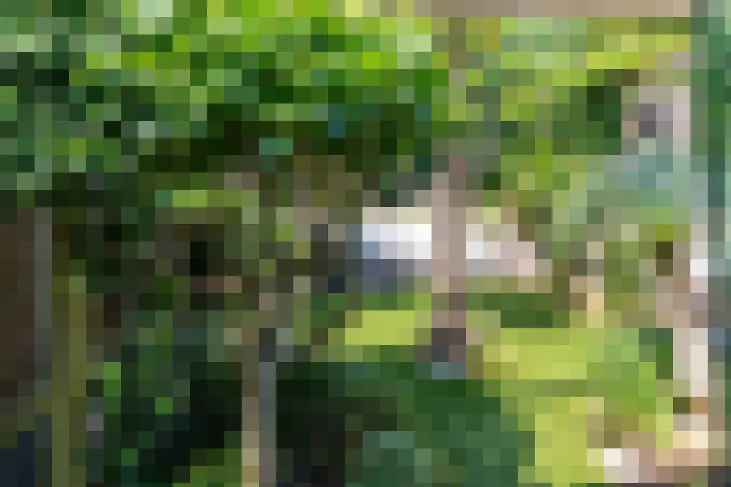 Benedendorpsweg 51 Oosterbeek thumbnail 53