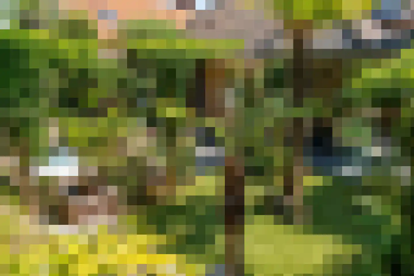 Benedendorpsweg 51 Oosterbeek thumbnail 55