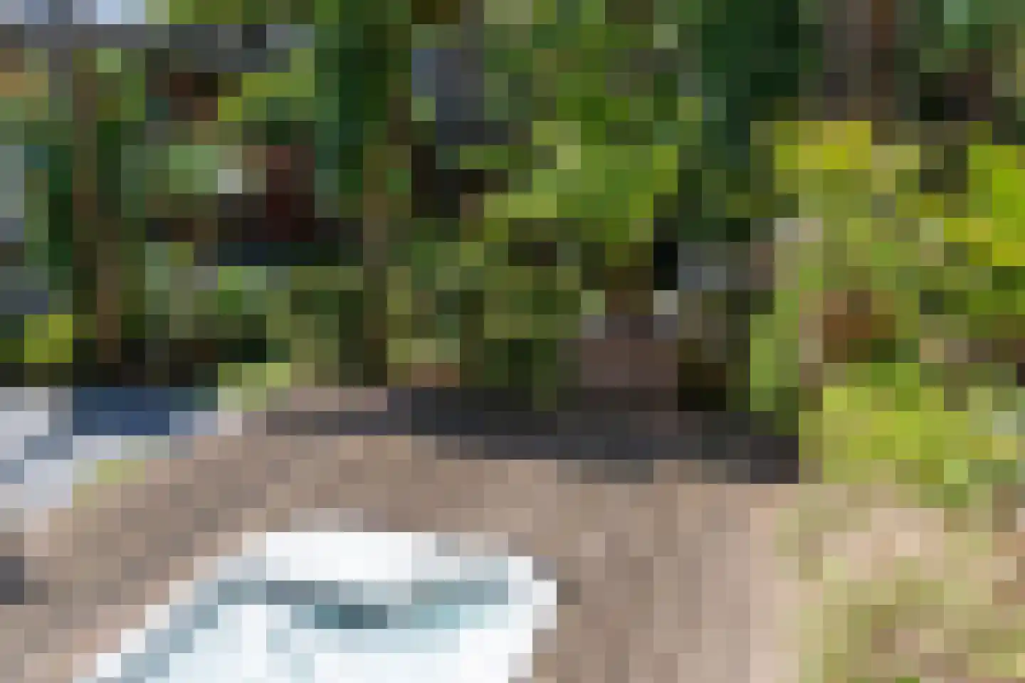 Benedendorpsweg 51 Oosterbeek thumbnail 57