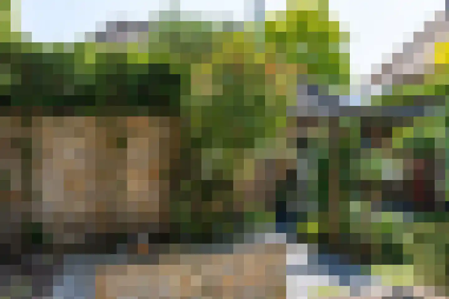 Benedendorpsweg 51 Oosterbeek thumbnail 58