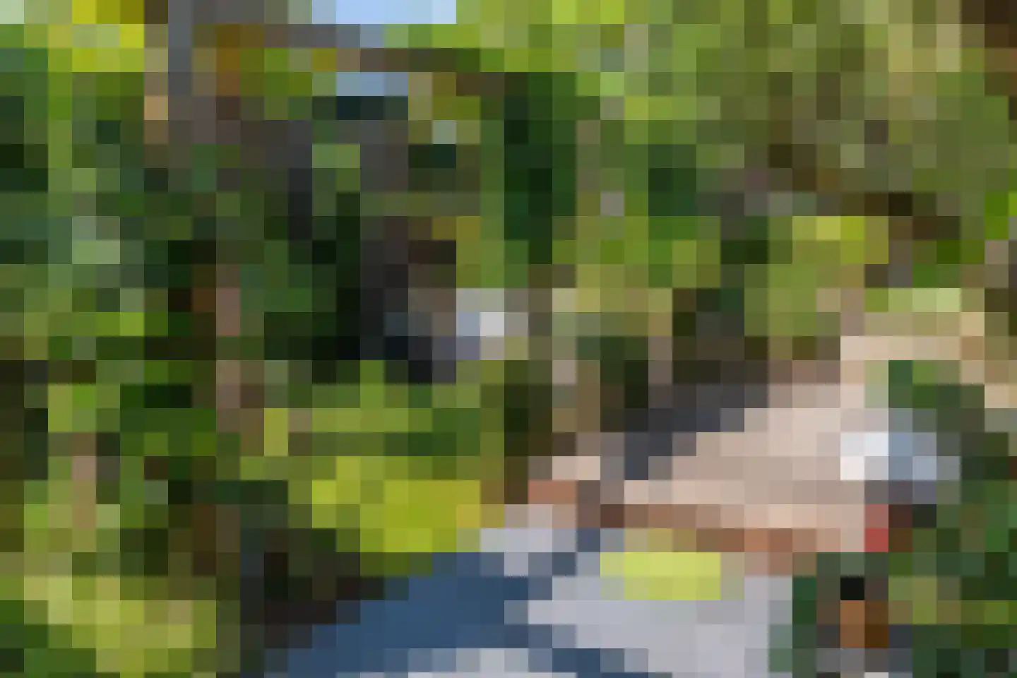 Benedendorpsweg 51 Oosterbeek thumbnail 6