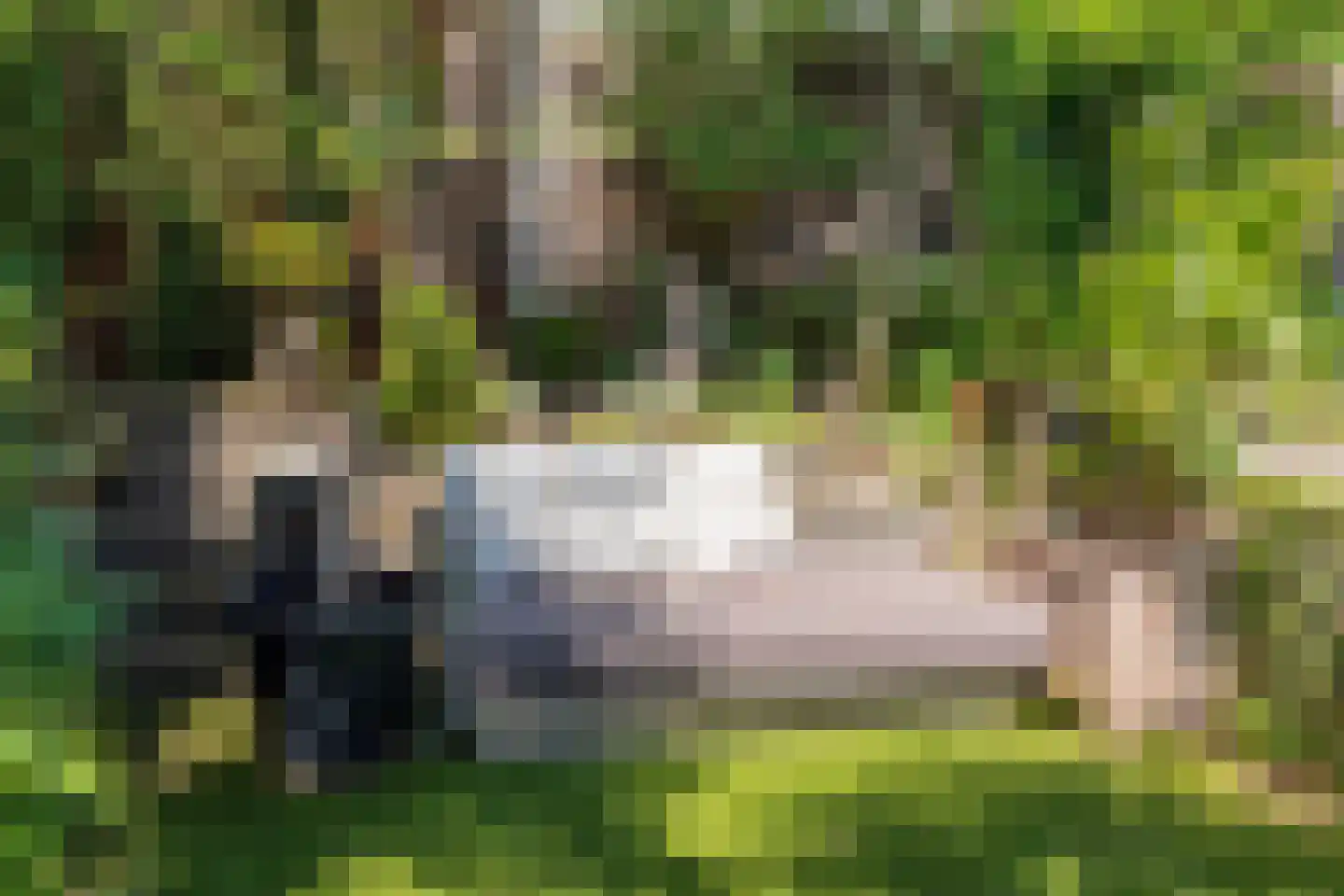 Benedendorpsweg 51 Oosterbeek thumbnail 61