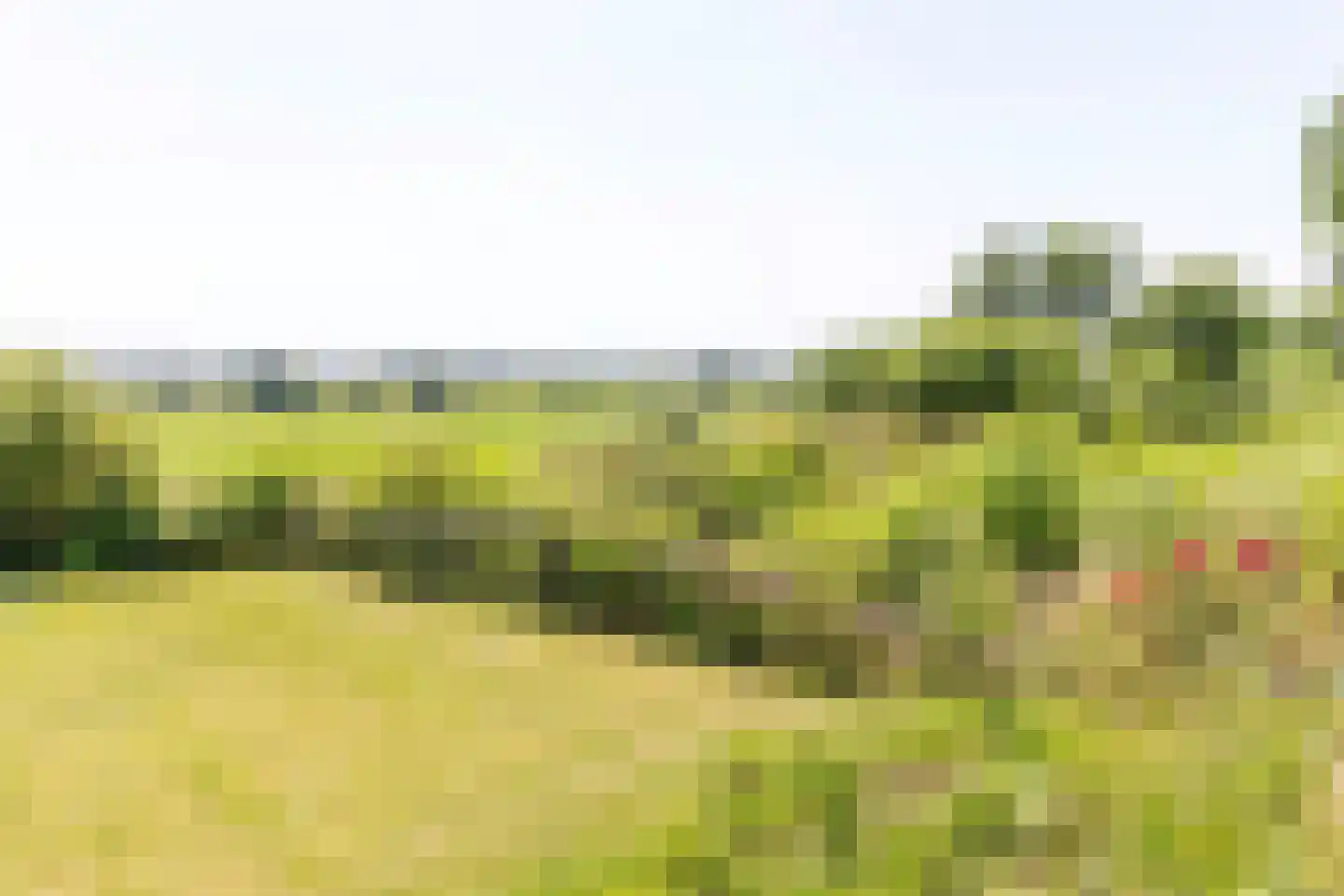 Benedendorpsweg 51 Oosterbeek thumbnail 64