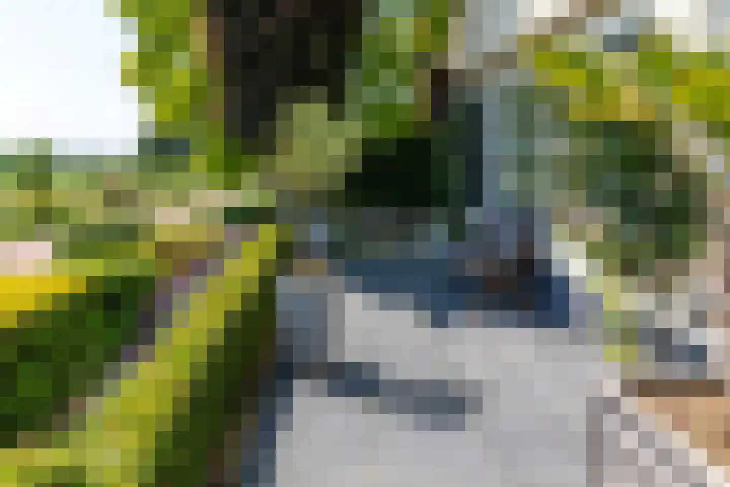 Benedendorpsweg 51 Oosterbeek thumbnail 66
