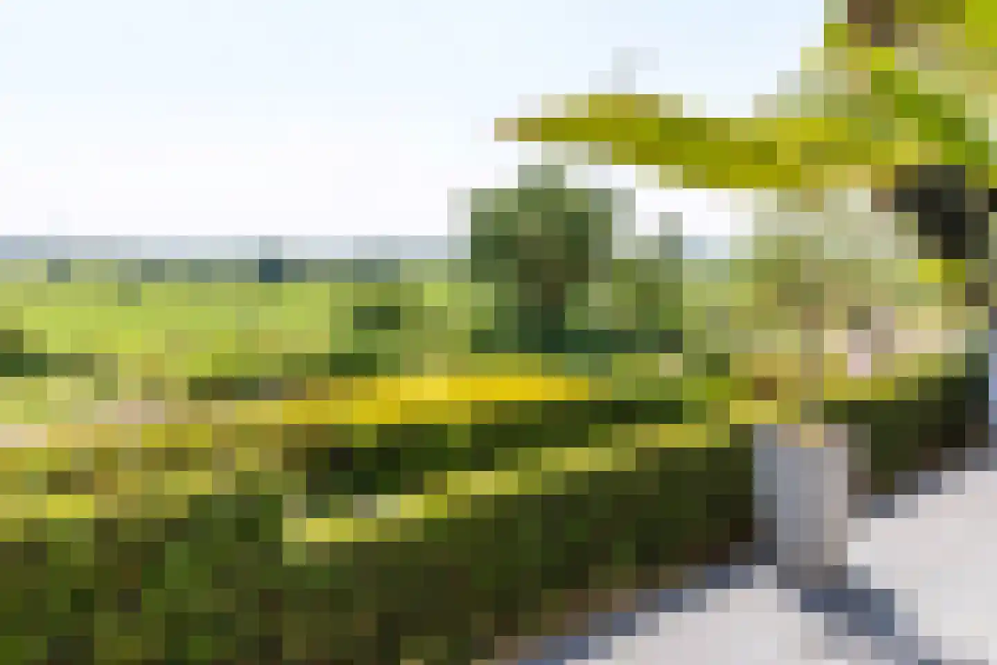 Benedendorpsweg 51 Oosterbeek thumbnail 67